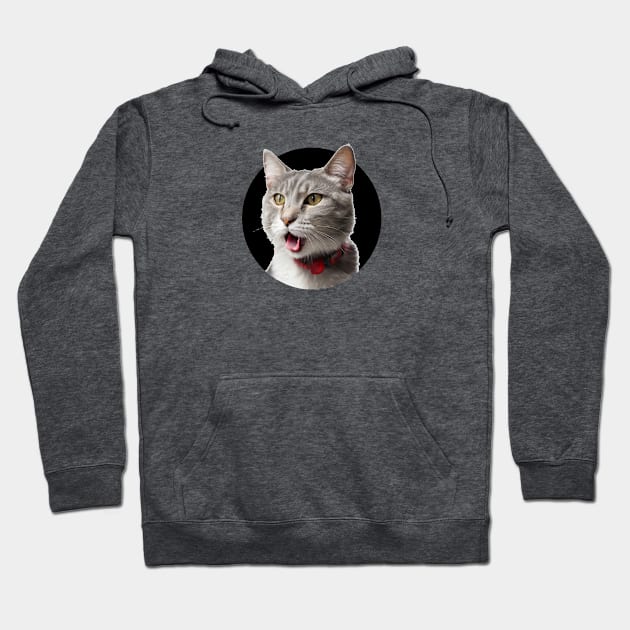 What a cat!?, what´s up human? Hoodie by Cavaleyn Designs